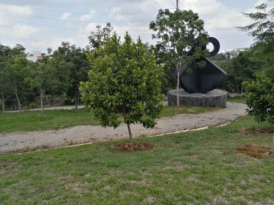 Imagen 11 de la propiedad